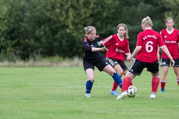 Bild 151 - Frauen SG NieBar - HSV 2 : Ergebnis: 4:3